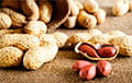 Беларусь на четверть сократила ввоз арахиса в страну