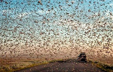 «Такога не бачыў ніколі»