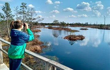 У адным з вадаёмаў Менска плавае качка з дроцікам у шыі