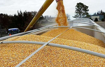США помогут в экспорте зерна из Украины через Польшу