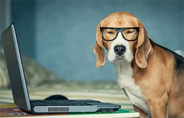 Навукоўцы прапанавалі новае тлумачэнне раптоўнага з'яўлення жывёл