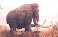На золотых приисках Клондайка нашли чудом сохранившегося мамонтенка
