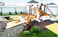 Мощные бури прошли в различных районах Беларуси