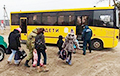 Режим заврался о количестве украинских беженцев в Беларуси
