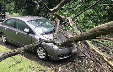 Стихия в Беларуси валила деревья и оставляла людей без света