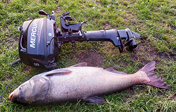 На Браславских озерах поймали огромного толстолобика