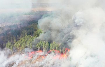 Площадь лесных пожаров в России за сутки выросла в полтора раза