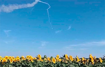 AFU Downed Enemy UAV In Sunflower Field: Video