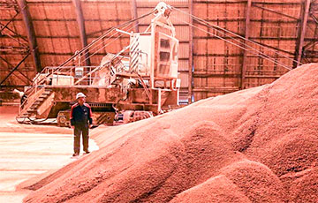 Экспорт калийных удобрений из Беларуси за шесть месяцев упал вдвое