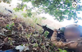 Бойцы полка Калиновского показали кадры ближнего боя на юге Украины