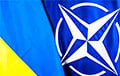 В Европе рассматривают возможность принять Украину в НАТО по примеру ФРГ