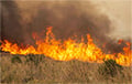 Крупный травяной пожар подбирается к АЗС в Ростовской области