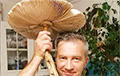 В Вилейке прямо в городе нашли гигантский гриб-зонтик