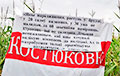 Гомельские партизаны вышли на пикет с ярким плакатом