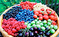 Сколько белорусы могут заработать на ягодах, фруктах и грибах?
