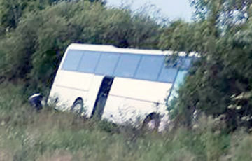 Bus With Belarusian Tourists Heading To St. Petersburg Drives Into Bushes