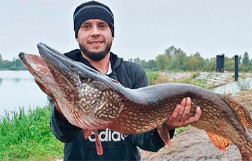 Рыбак вытащил в Пинском районе гигантскую щуку