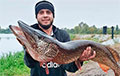 Рыбак вытащил в Пинском районе гигантскую щуку