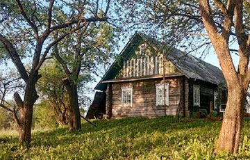 Какие хутора можно купить в Беларуси от $2 тысяч