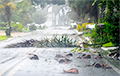 На Флорыду з катастрафічнай сілай абрынуўся ўраган «Іэн»