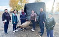 В Туве за каждого мобилизованного семье начали давать живого барана