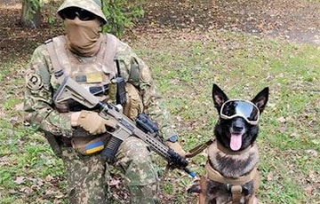 На Харьковщине служебный пес украинской полиции нашел невредимый российский БПЛА