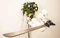 Уникальное видео: комнатное растение управляет рукой робота с мачете