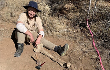 У Аўстраліі знайшлі трохмэтровую «курыцу»