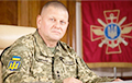 Полковник ВСУ: Залужный определит направление контрнаступления в последний момент