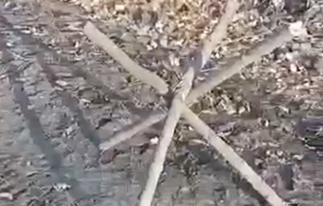 Российские «мобики» по приказу командира соорудили «противотанковые»  ежи из нарубленных веток