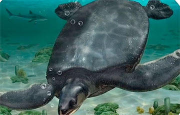Ученые обнаружили трехметрового «морского Левиафана»