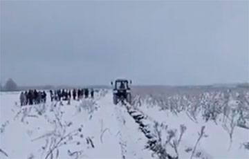 Беларускіх працоўных адпраўляюць выкопваць моркву з-пад снегу