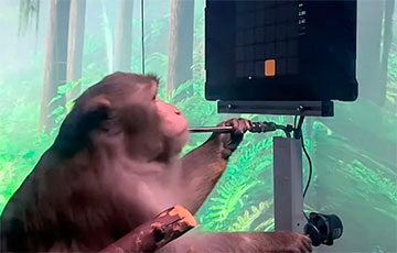 Илон Маск показал, как обезьяна печатает силой мысли