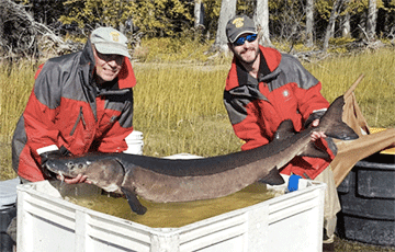 Рыбак из Канзаса поймал очень редкую рыбу-динозавра