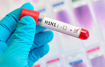 Свиной грипп вернулся в Беларусь на фоне «тридемии»