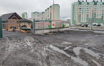 В Беларуси лесхозы исполняют приказ «сверху» и срочно открывают специальные магазины