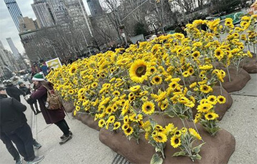 В Нью-Йорке высадили сотни подсолнечников в поддержку Украины
