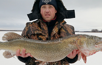Новый персональный рекорд: белорусский рыбак вытянул из проруби огромную щуку
