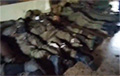 Украінскія ваяры ўзялі ў палон групу акупантаў
