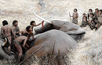 Слоны помогли ученым раскрыть важную тайну неандертальцев