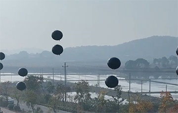 Черные шары в небе насторожили гомельчанку