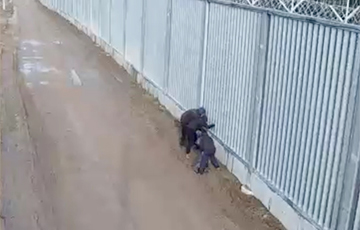 Группа европейцев занималась чем-то странным возле польско-белорусской границы