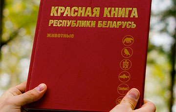 В Красную книгу Беларуси добавили новое животное
