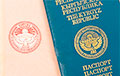 Москвичи ринулись получать киргизские паспорта