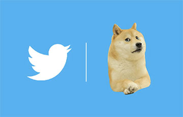 Twitter изменил логотип на изображение собаки