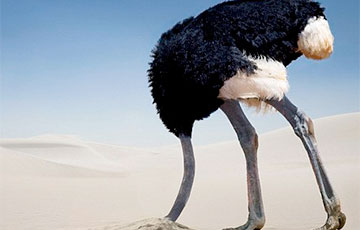 В позе страуса