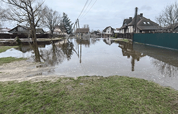 «Шутим, что можно начинать выращивать рис»: как белорусы живут во время паводков