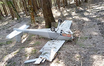 Bild: Упавший под Москвой дрон должен был убить Путина