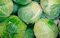 Рэжым Лукашэнкі «адказаў» на санкцыі ЕЗ
