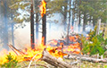 Беларусь покрыла все леса системой обнаружения пожаров